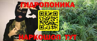 jwh Камышлов
