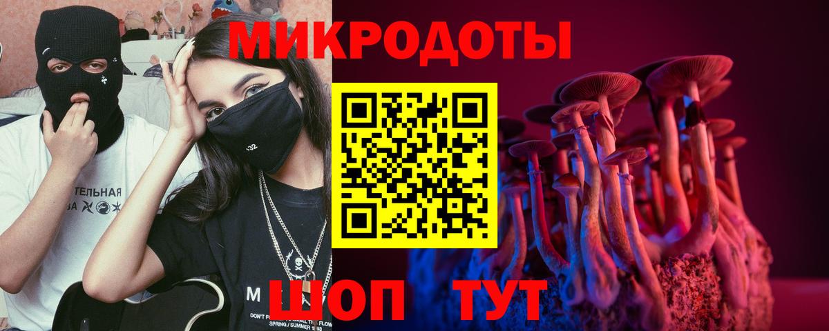 Псилоцибиновые грибы мицелий Курчалой
